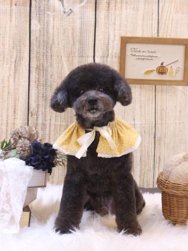 20241025コタロウくん